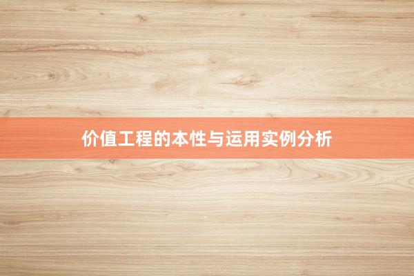 价值工程的本性与运用实例分析