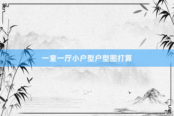 一室一厅小户型户型图打算